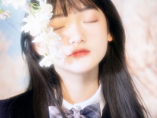 樱花第三弹