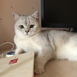 Yan2323465的头像