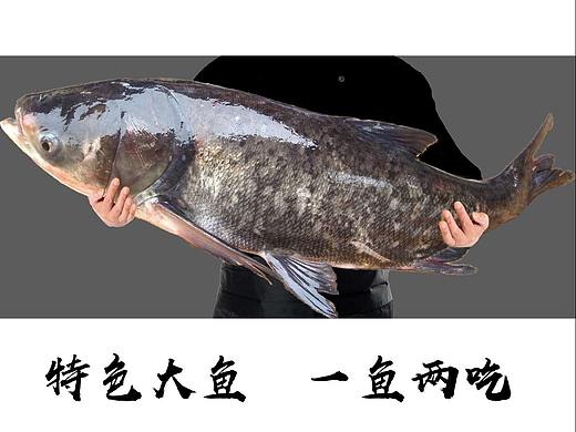 菜谱