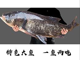 画册