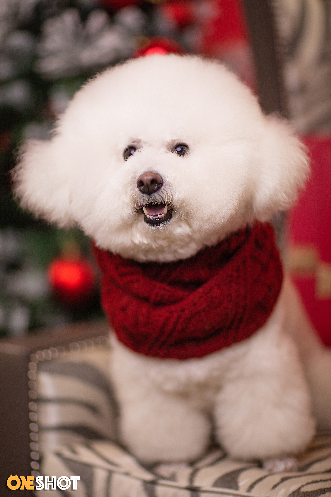 2018圣诞合集第一弹丨你的圣诞礼物又到啦!