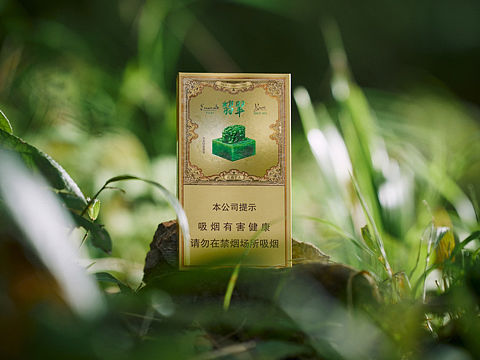 翡翠云烟拍摄x里予文化