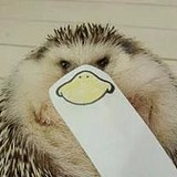 心之旋律的头像