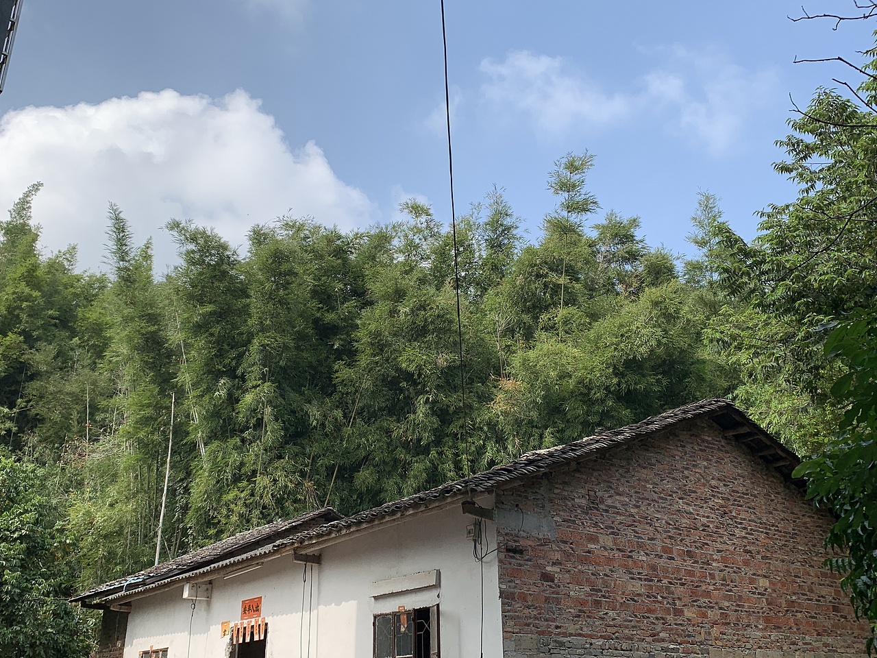 凌云老师Augus护肤老师 凌云老师惠州农家乐一日游