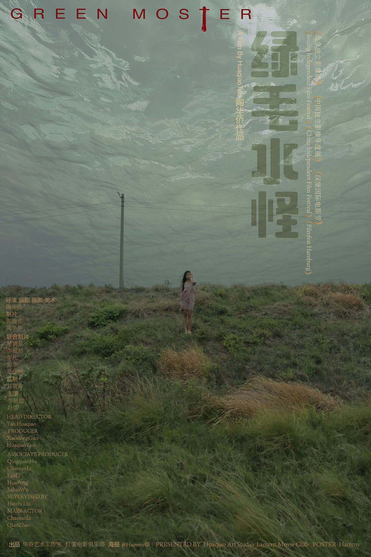 独立电影海报绿毛水怪