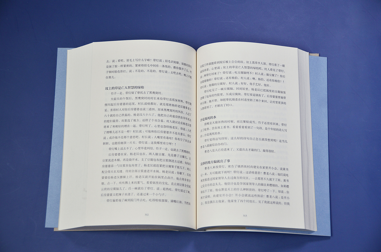 《高兴》《怀念狼》《带灯》（图ZMjg1NzQ5NzY4） - 书籍/画册 - 站酷设计师林时原创素材 - 站酷ZCOOL