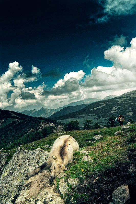 相信 会有一些感悟（图ZMTIxODQ1NzI=） - 人文/纪实摄影 - 站酷设计师陆虎原创素材 - 站酷ZCOOL