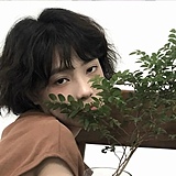 捞月亮的猫的头像
