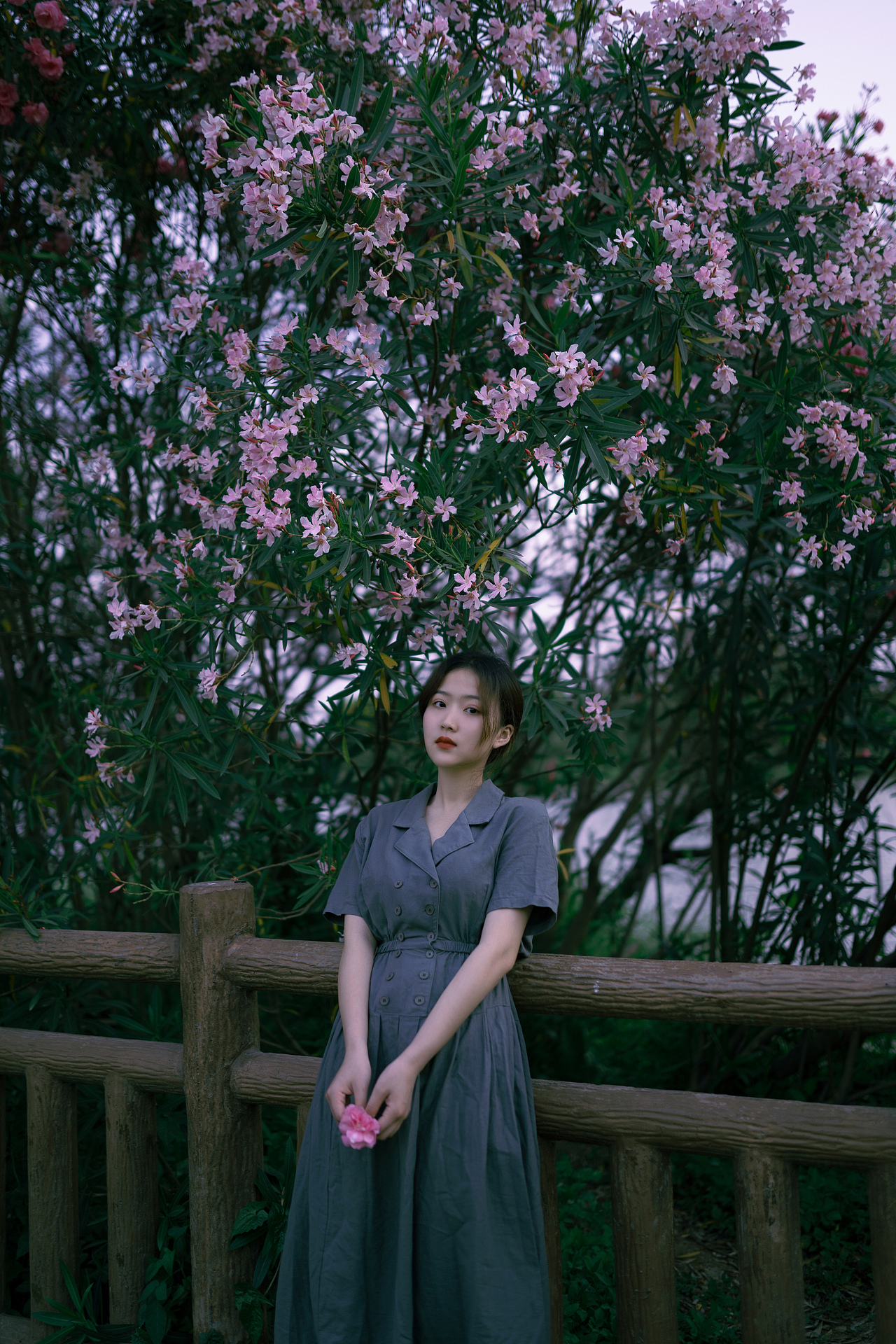 夹竹桃花开（图ZMjIzMjI2Mjc2） - 人像摄影 - 站酷设计师POKYUIE原创素材 - 站酷ZCOOL