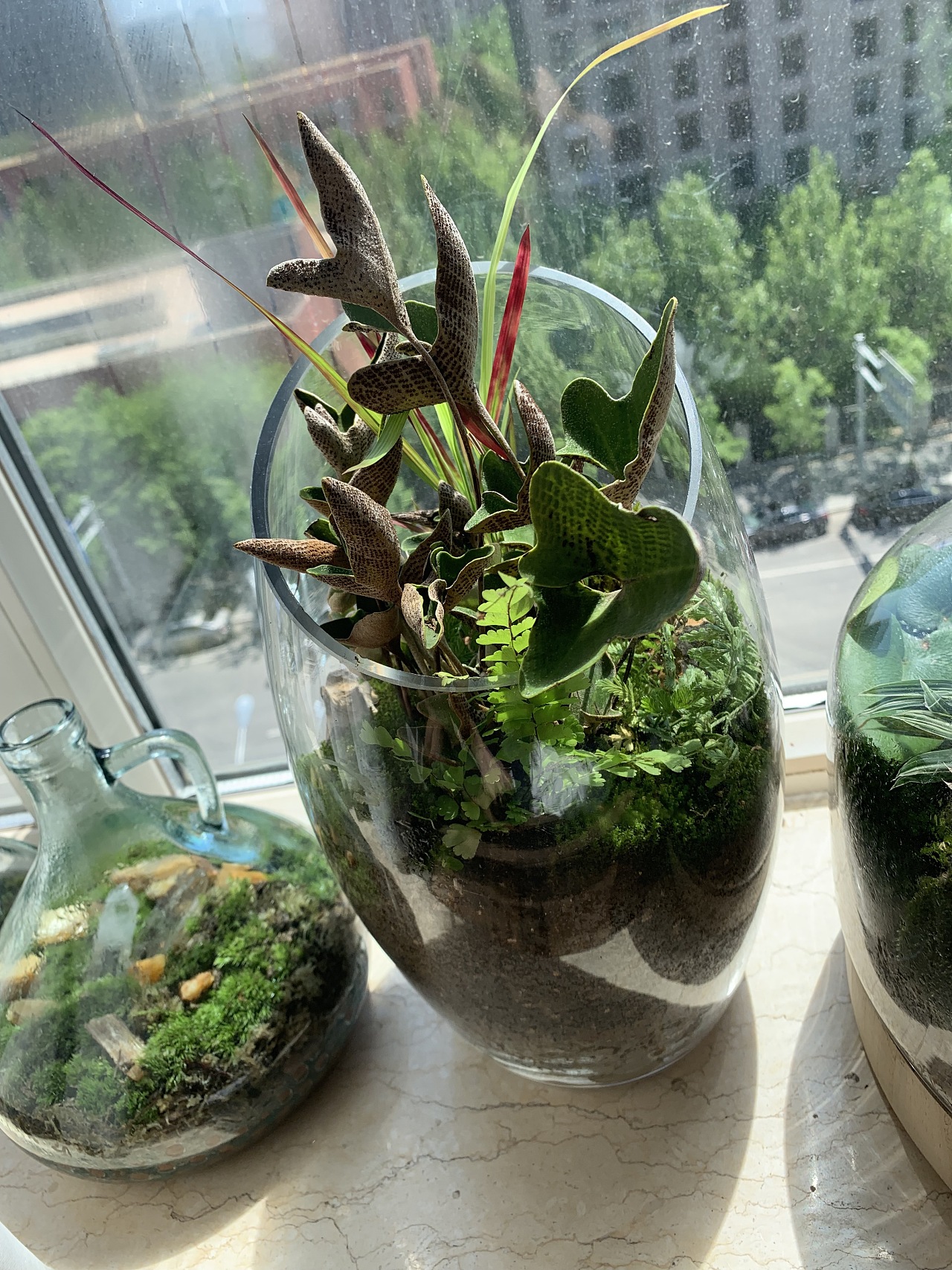 以前做的微景观