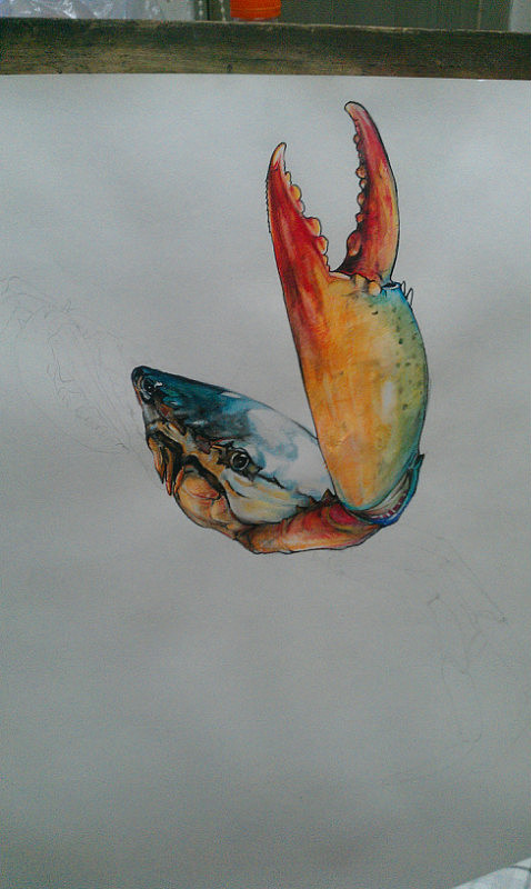 螃蟹彩鉛畫作（圖ZMTkzODg2MDg=） - 繪畫 - 站酷設計師德古拉斯杰原創(chuàng)素材 - 站酷ZCOOL