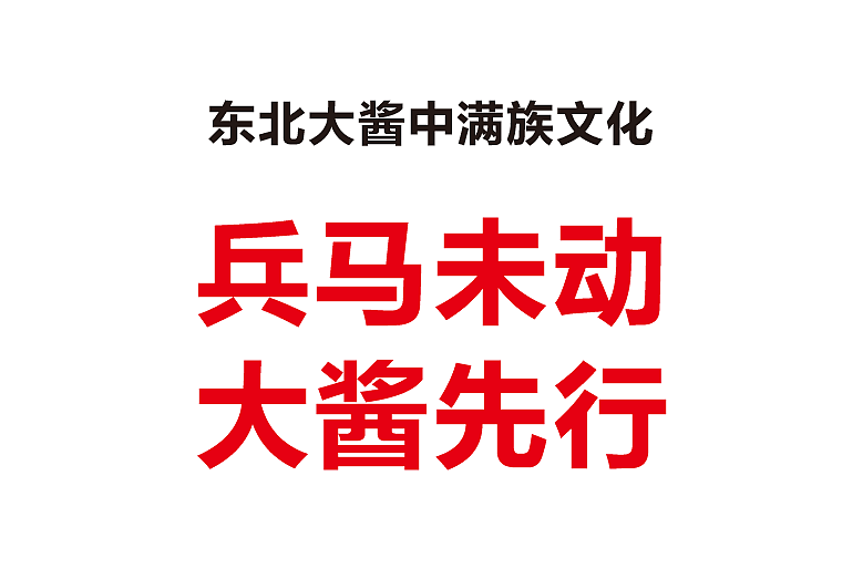 因为时间特别急,给客户的创意思路文字没有排版,多数都是自己口述的。