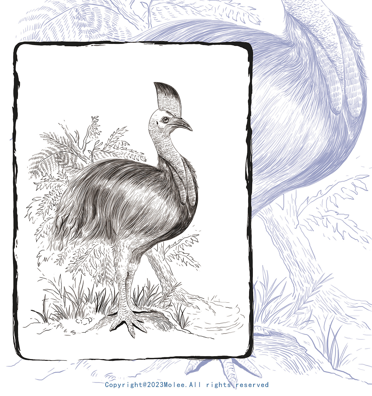 出版物《奇特物种》封面及内文插图