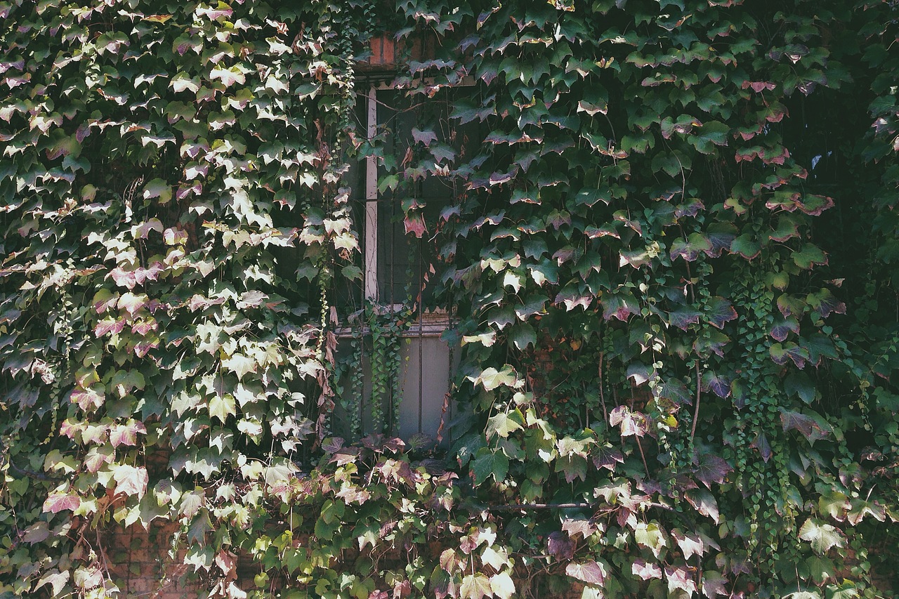 手机摄影（图ZMjAzNzc2MDQ=） - 产品摄影 - 站酷设计师1Q33原创素材 - 站酷ZCOOL