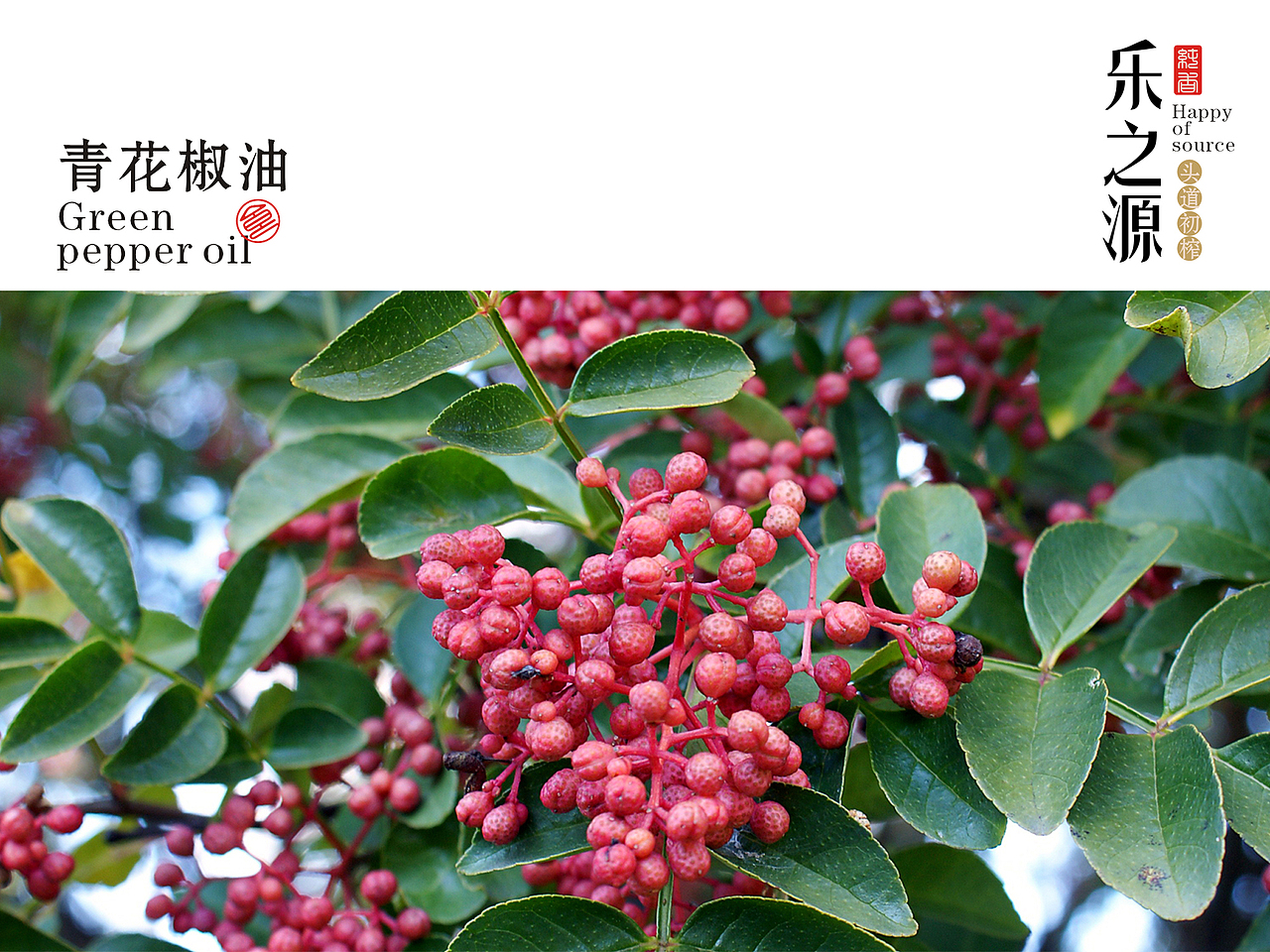 芝麻油（图ZMTE5MzYzMTg0） - 包装 - 站酷设计师甲乙同创意原创素材 - 站酷ZCOOL