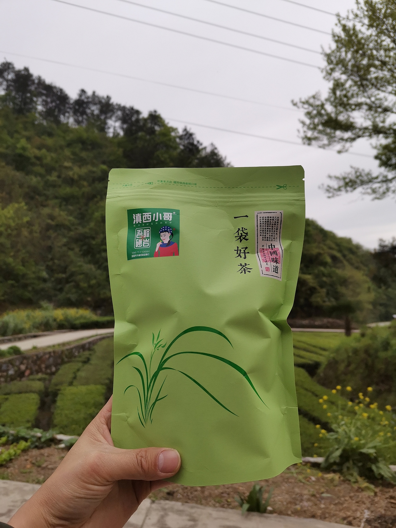 明前采茶拍摄日记（图ZMjU2NzkyNzky） - 风光摄影 - 站酷设计师食品包装商标原创素材 - 站酷ZCOOL