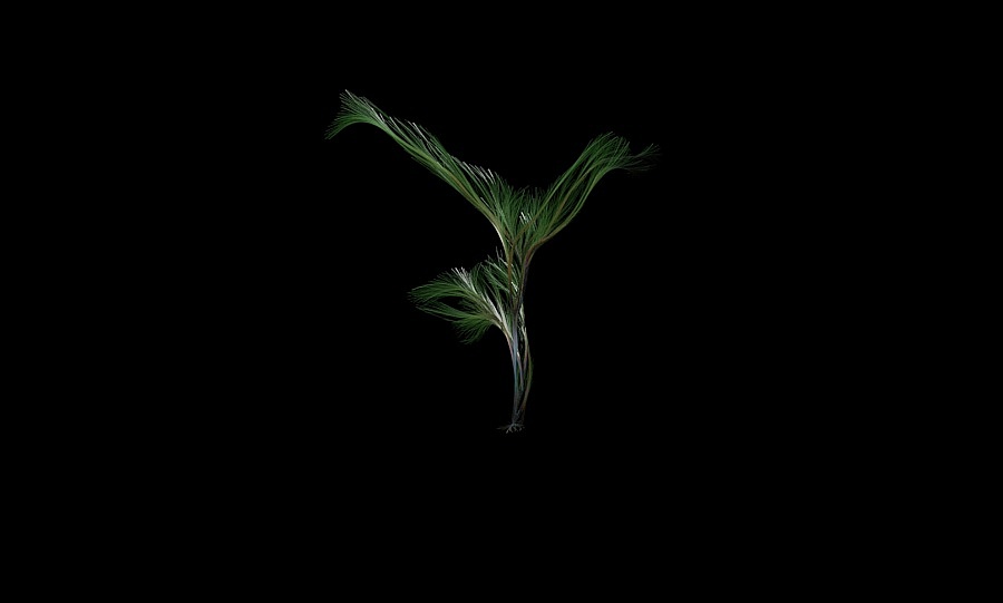 个人MG技术研究 Aoisaki Reel 2016（图ZNjcxNTkwNDQ=） - Motion Graphic - 站酷设计师苍咲原创素材 - 站酷ZCOOL