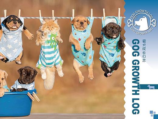 狗狗杂志封面设计