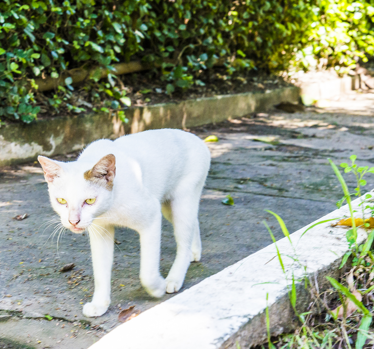 随心随意去出发。-金边漫游（一）（图ZMTMyNDUyMzgw） - 风光摄影 - 站酷设计师薄荷的冬天原创素材 - 站酷ZCOOL