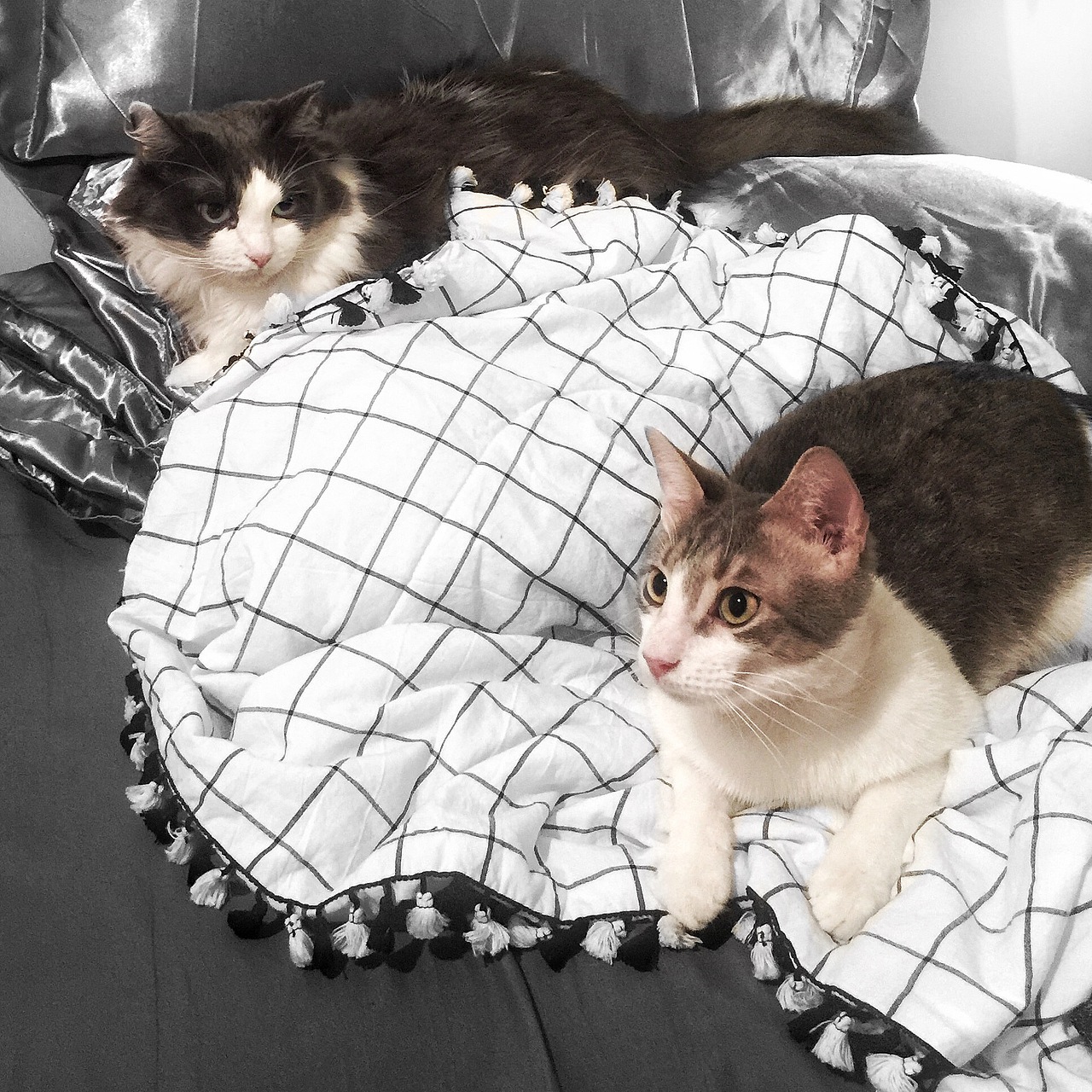 NEWYORK｜纽约手机记录