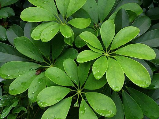 10年前非算法时代的手机拍出的照片