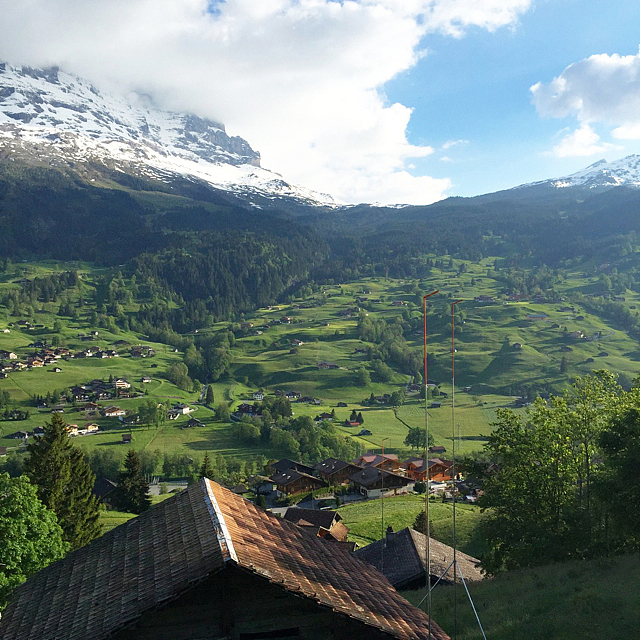 被称作fantasy hillside, 在上少女峰的火车上会看到更美的