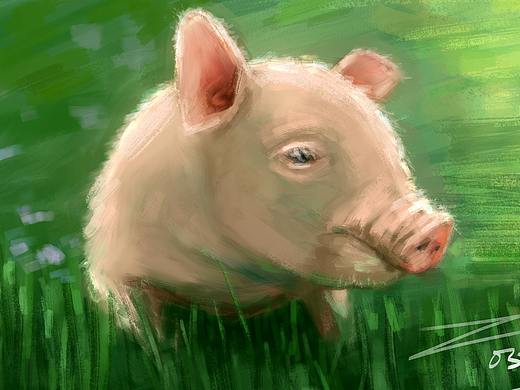 【绘画日常】小猪猪速途半小时乱画