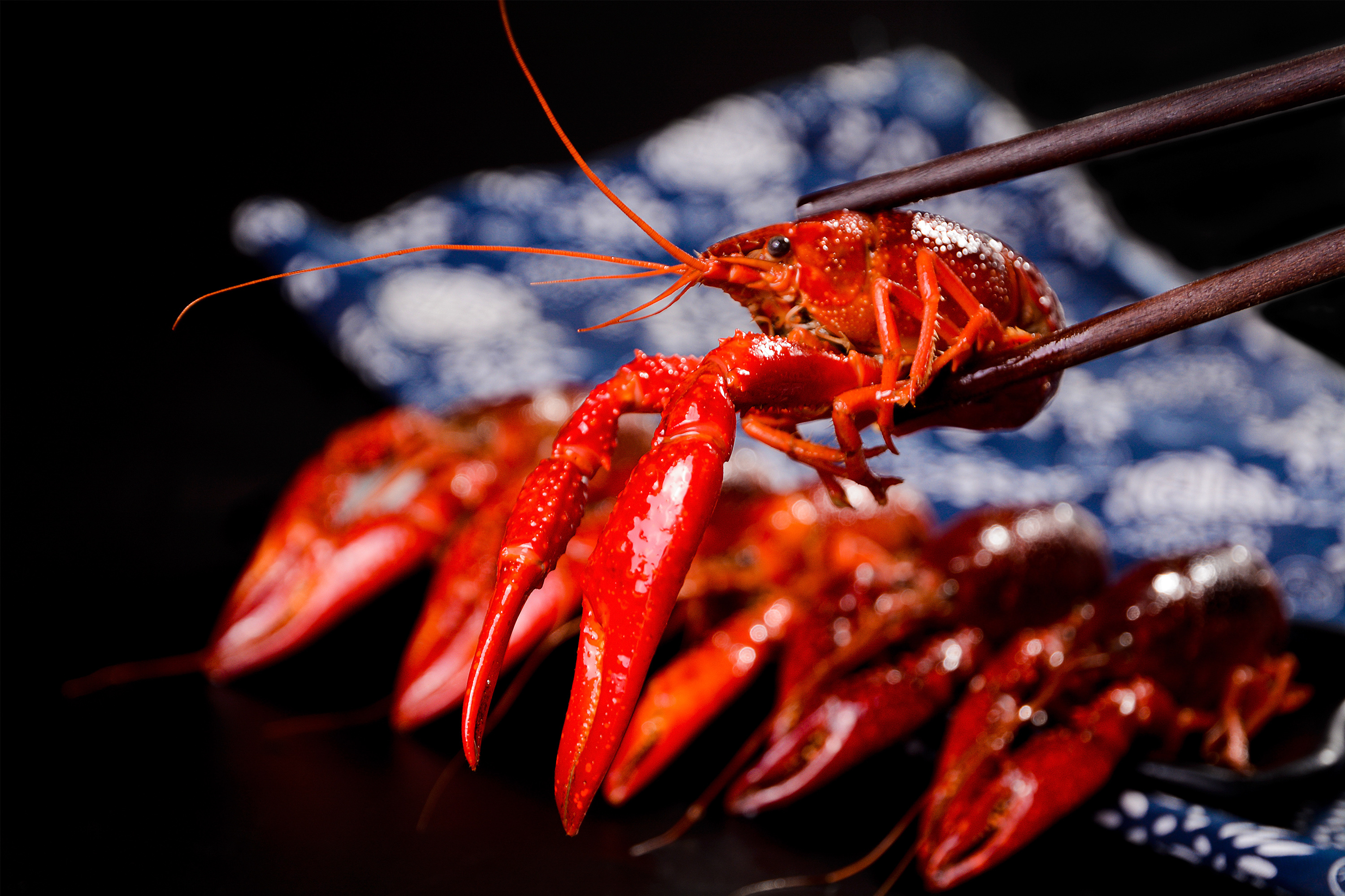 小龙虾飘香季|摄影|产品|zhanjiajia - 原创作品 - 站酷 (zcool)