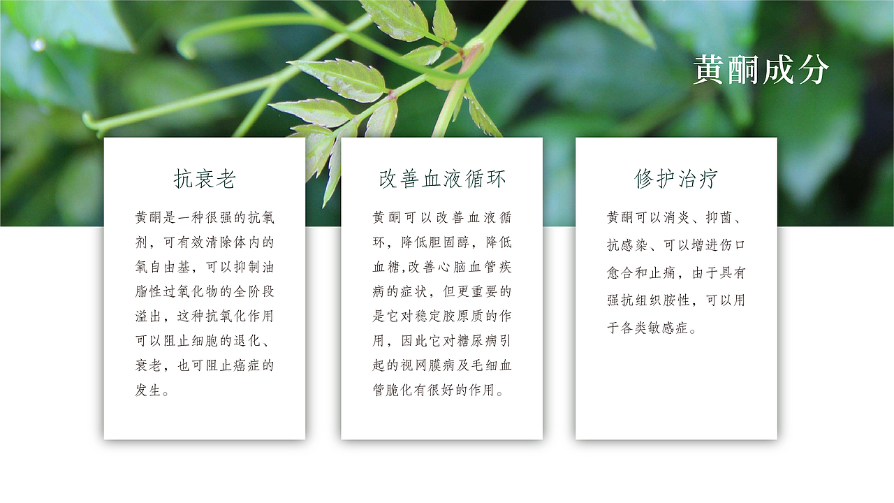 藤茶面膜（图ZMTk3NjU1Nzk2） - 包装 - 站酷设计师一颗摇头晃脑的粽原创素材 - 站酷ZCOOL