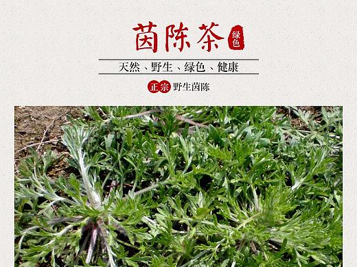 茵陈（个人主页-ZMjU2ODQ4MzY=） - 其他平面 - 站酷设计师穆俨原创素材 - 站酷ZCOOL