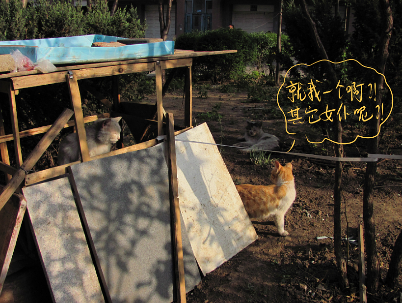 我结交了一群新朋友（图ZMjc2MjE1NTI=） - 文案/策划 - 站酷设计师画师x如也原创素材 - 站酷ZCOOL