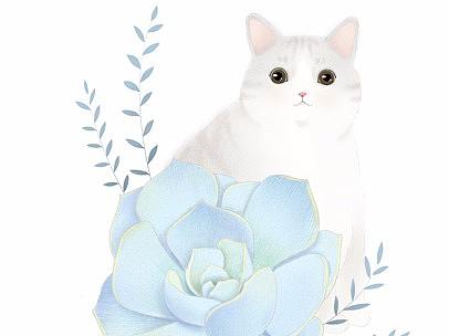 猫恋花物语