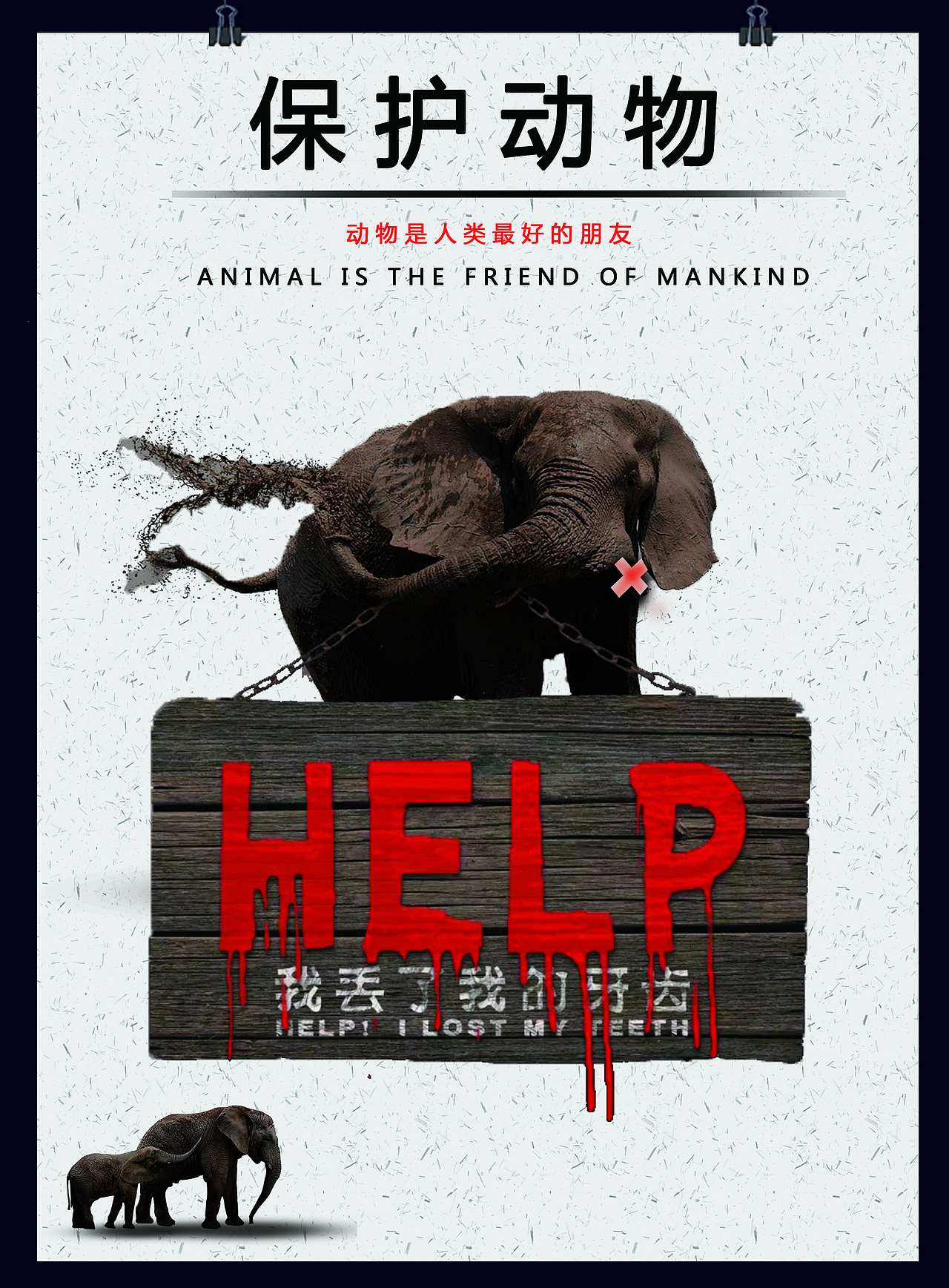 保护动物公益海报（图ZMTYwOTI0MTQw） - 海报 - 站酷设计师心情乱七芭蕉的原创素材 - 站酷ZCOOL