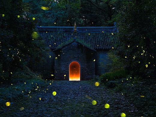 灵谷寺萤火虫