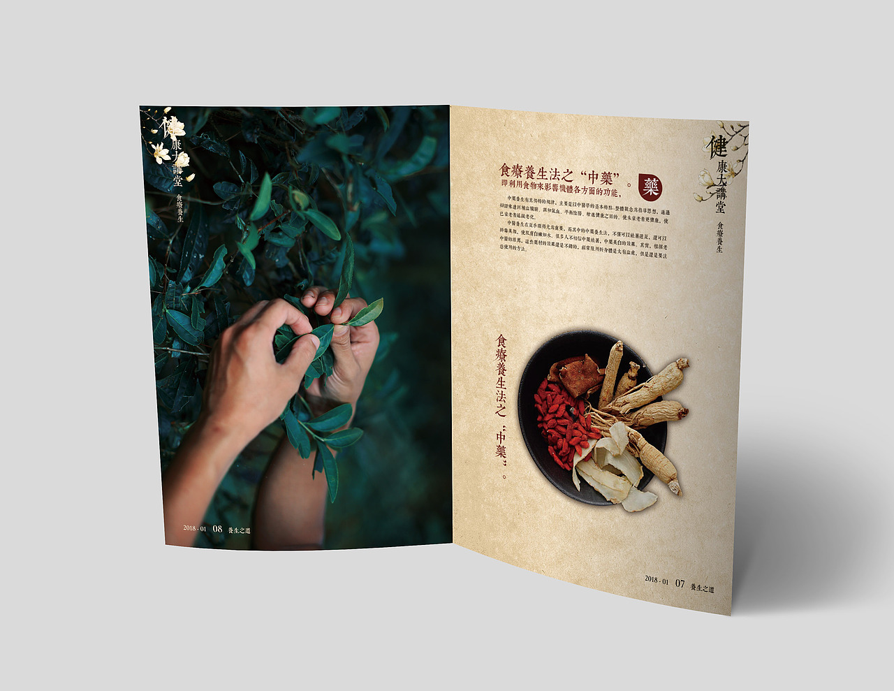 養(yǎng)生雜志設(shè)計（圖ZMTEwNDU4MzMy） - 書籍/畫冊 - 站酷設(shè)計師湯可幣原創(chuàng)素材 - 站酷ZCOOL