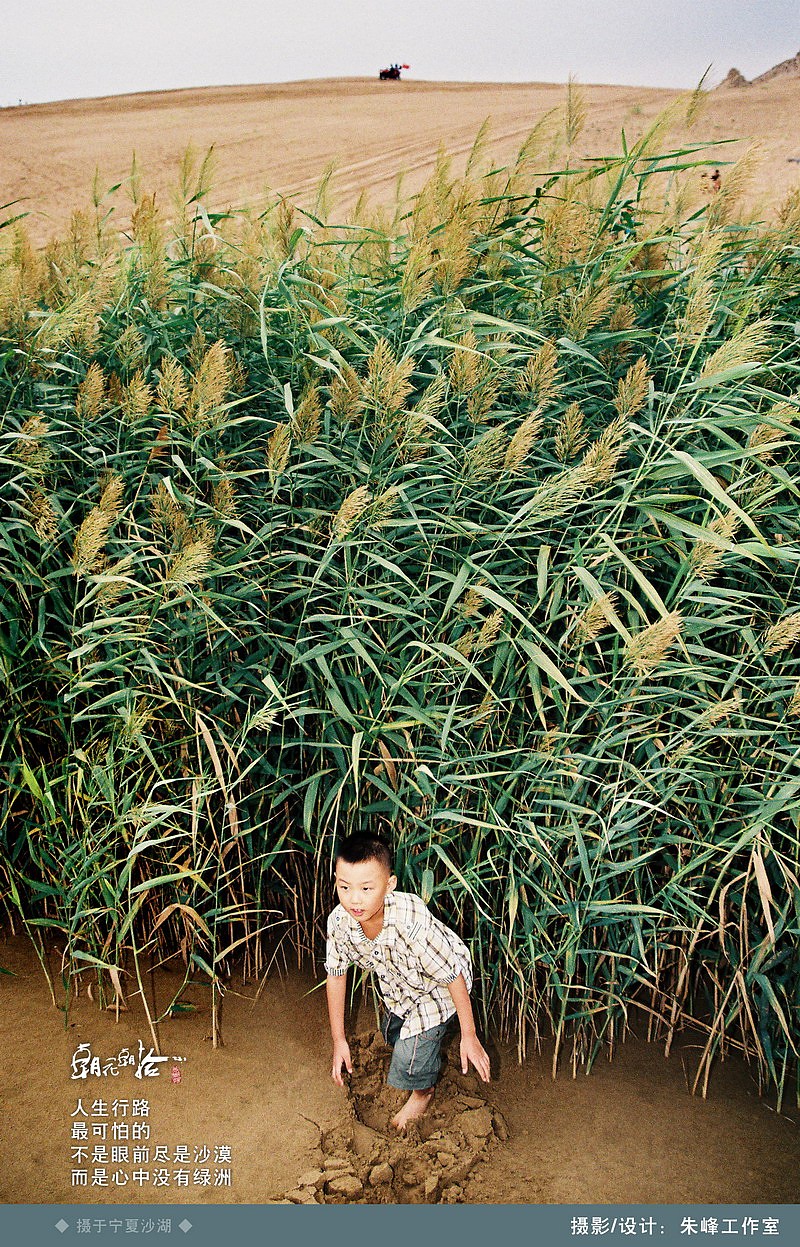 《朝花朝拾随想篇 1》——孩子成长记录感悟