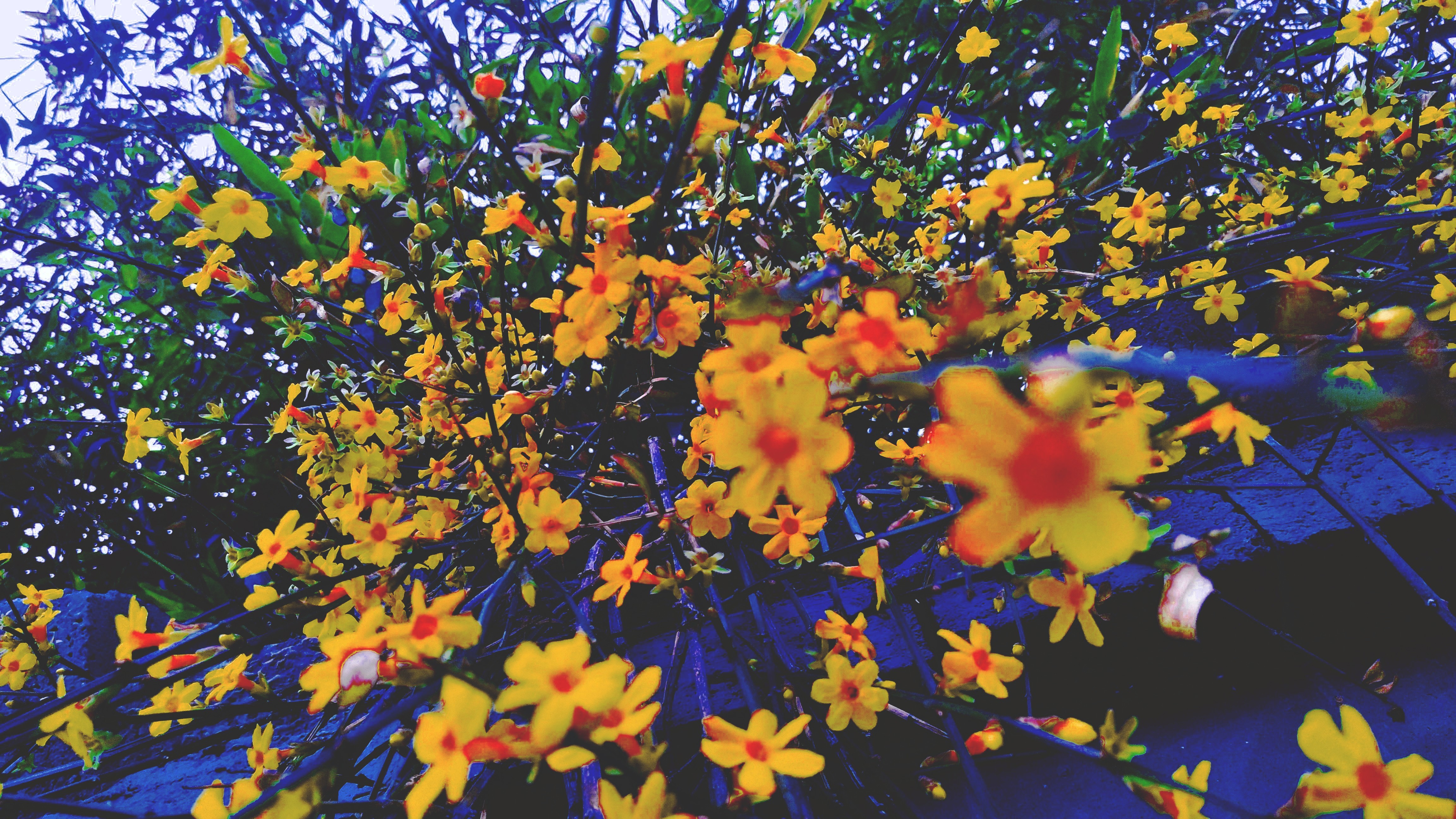 李大游的个人主页（封面预览） - 主页封面设置 - 站酷设计师李大游原创素材 - 站酷ZCOOL