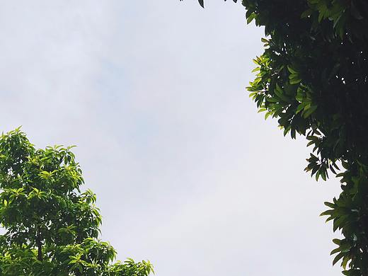 仰望（个人主页-ZMzMxNzY0MzY=） - 风光摄影 - 站酷设计师饭兜原创素材 - 站酷ZCOOL