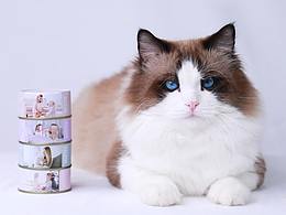 厦门影格视觉猫粮猫罐头视频拍摄-美仕唐纳滋G系列罐头