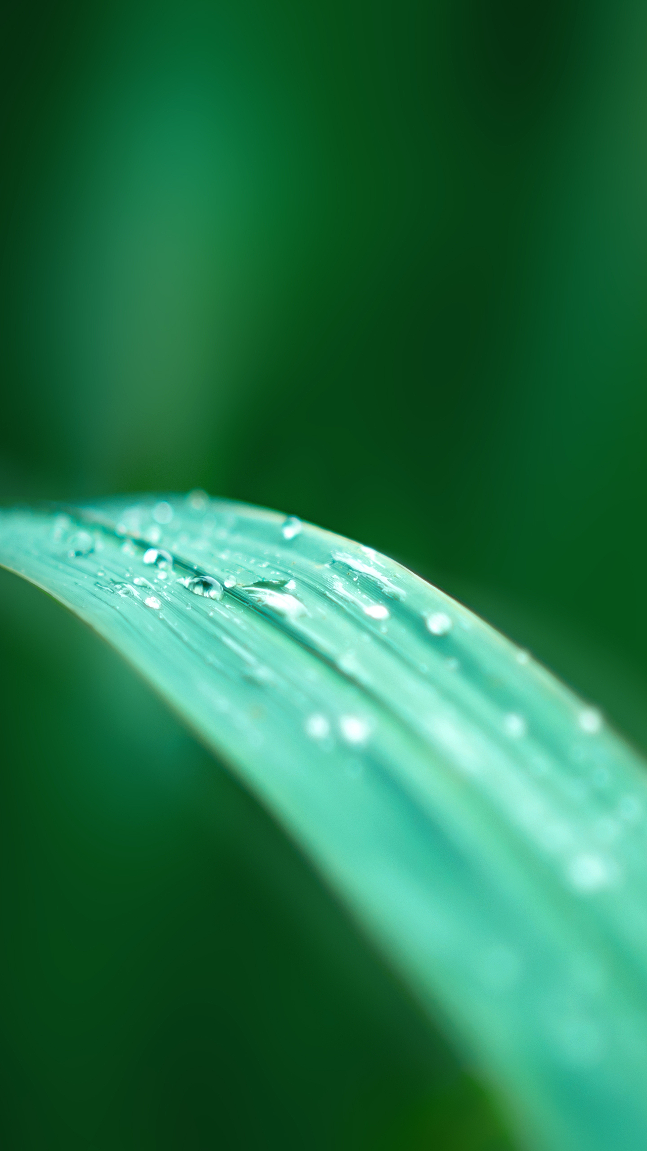 平常心（圖ZMzczODkxMDQ=） - 其他攝影 - 站酷設(shè)計(jì)師HK754202733原創(chuàng)素材 - 站酷ZCOOL