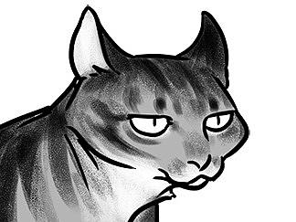 家常土猫【动动动动动图】