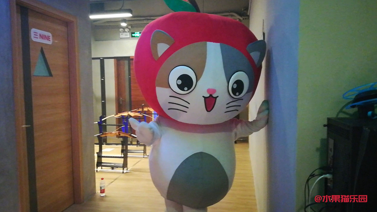 苹果猫人偶--轰趴聚会（图ZMTA2MDg4NTE2） - 其他摄影 - 站酷设计师水果猫乐园原创素材 - 站酷ZCOOL