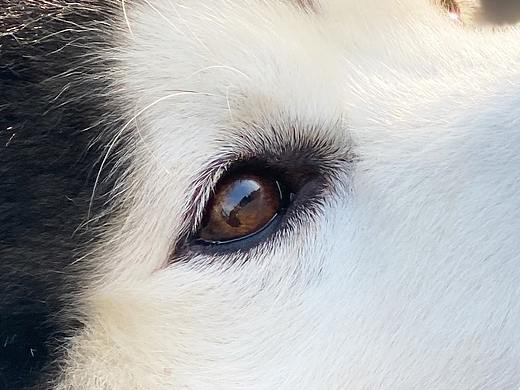 占得一手好位！！（个人主页-ZNTYxMjg2ODA=） - 玩具 - 站酷设计师基尼实在是太魅原创素材 - 站酷ZCOOL