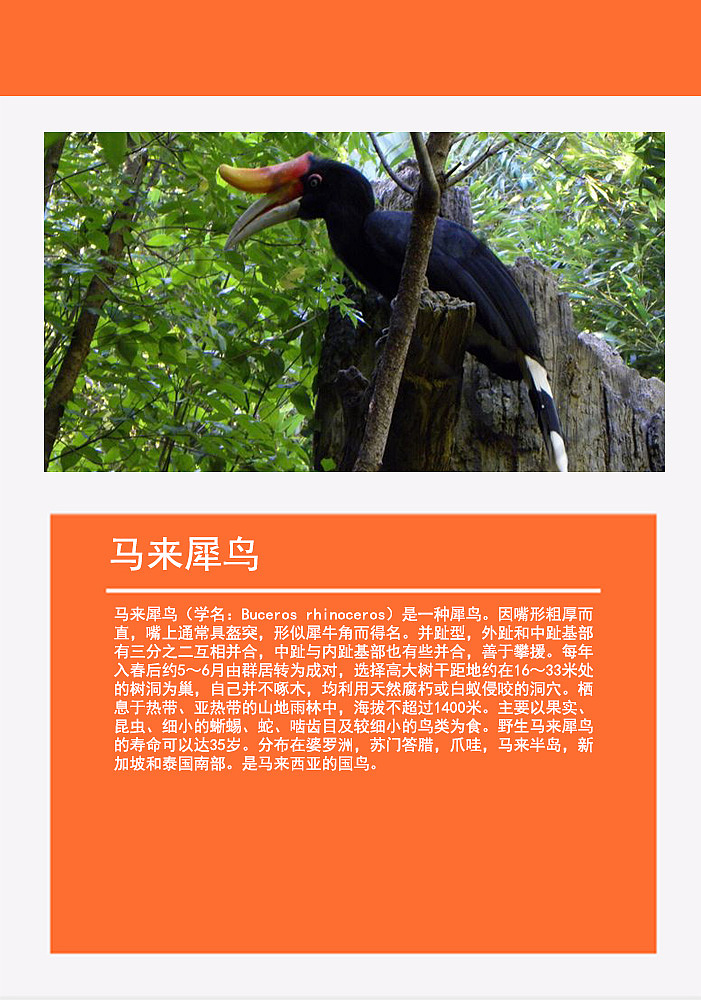 鸟类画册2（图ZMTMzMDg0ODA0） - 书籍/画册 - 站酷设计师浅墨幺幺原创素材 - 站酷ZCOOL
