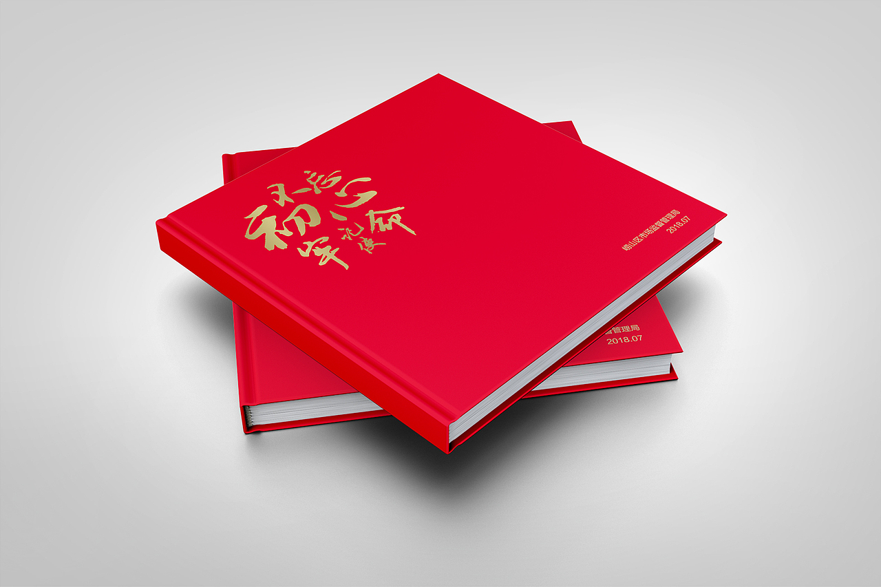 党建画册