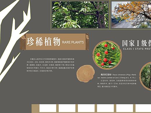 戴云山生态博物馆