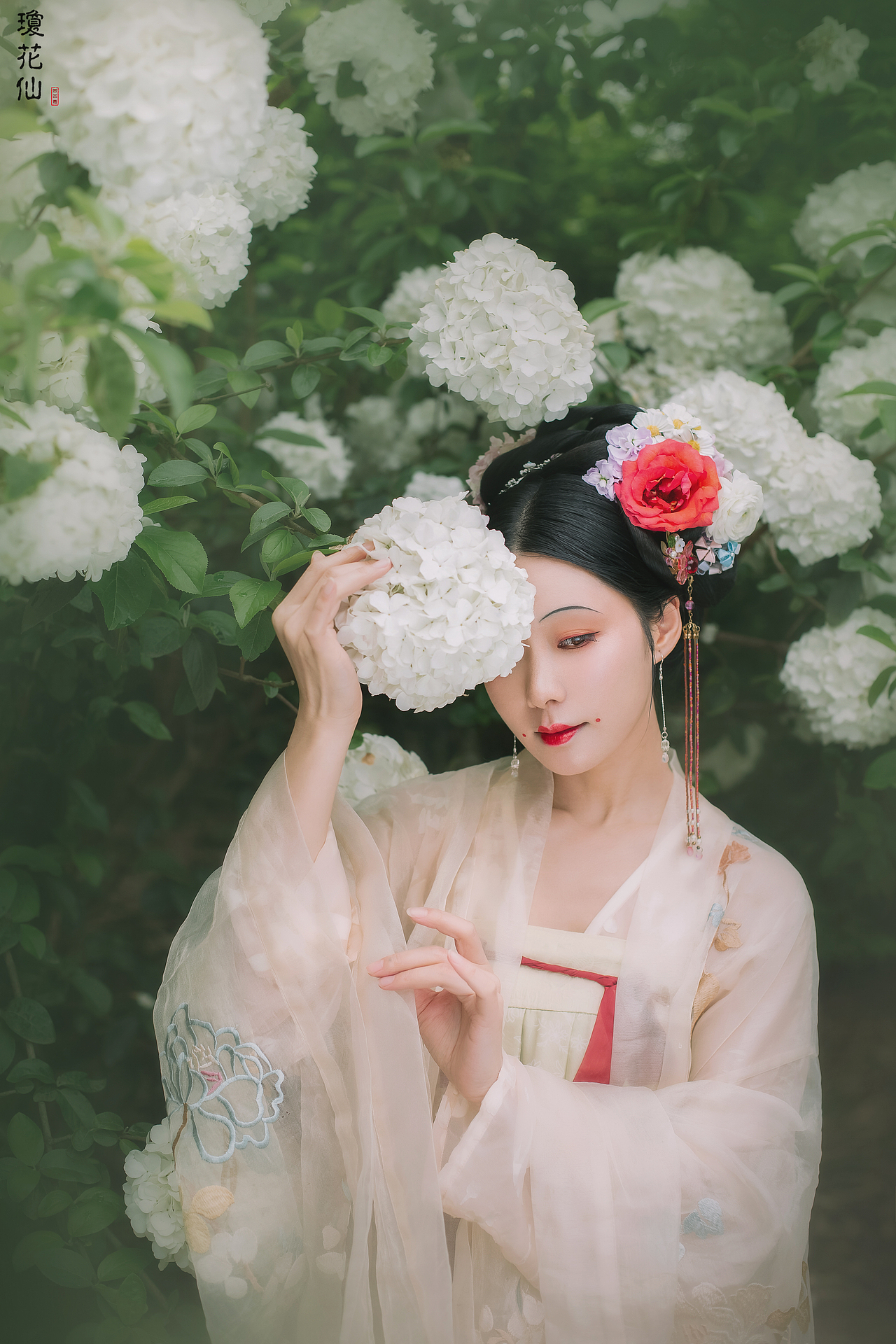 琼花仙（图ZMjA5NDAzMDI0） - 人像摄影 - 站酷设计师Z68633134原创素材 - 站酷ZCOOL