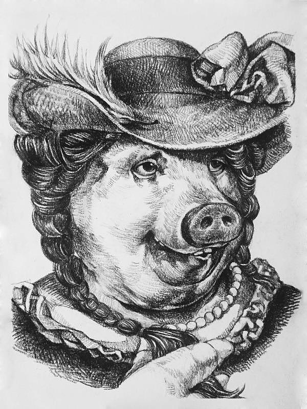 绅士猪系列(原创素描插画)