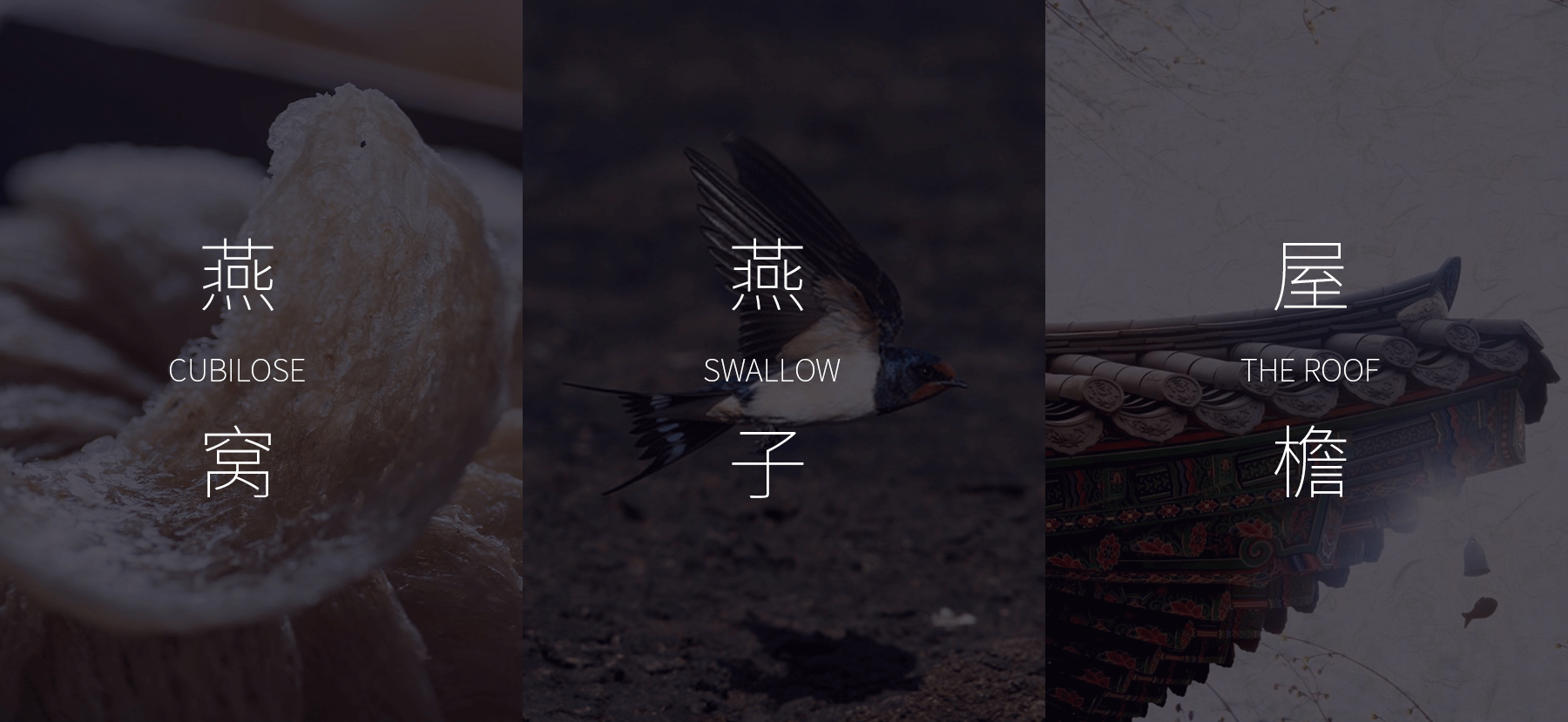 “堂前燕”品牌策划设计（图ZMjMyMTQ2Mzg0） - 品牌 - 站酷设计师巨蜂创意原创素材 - 站酷ZCOOL