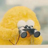 clryo的头像